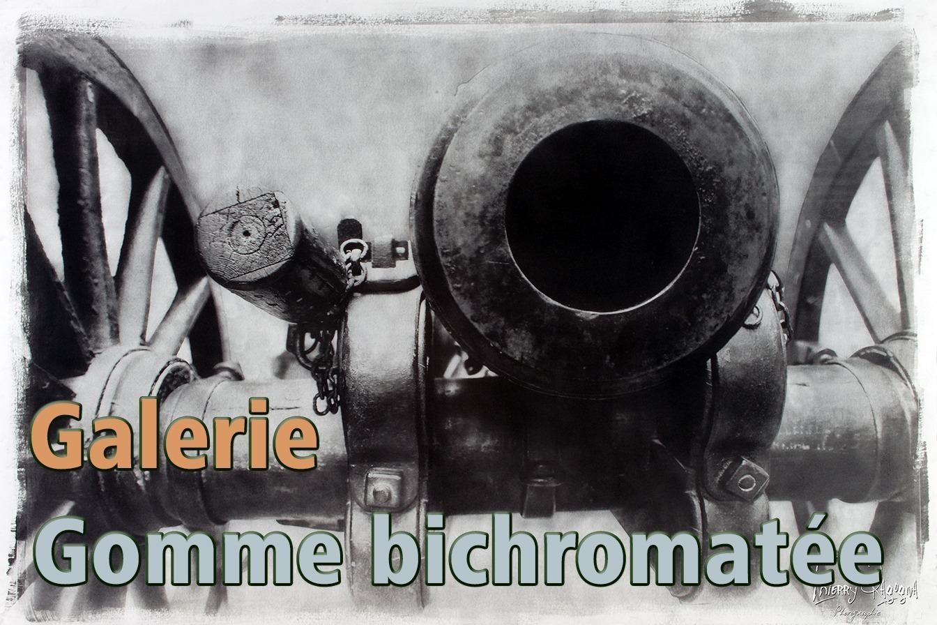 Gommes bichromatées