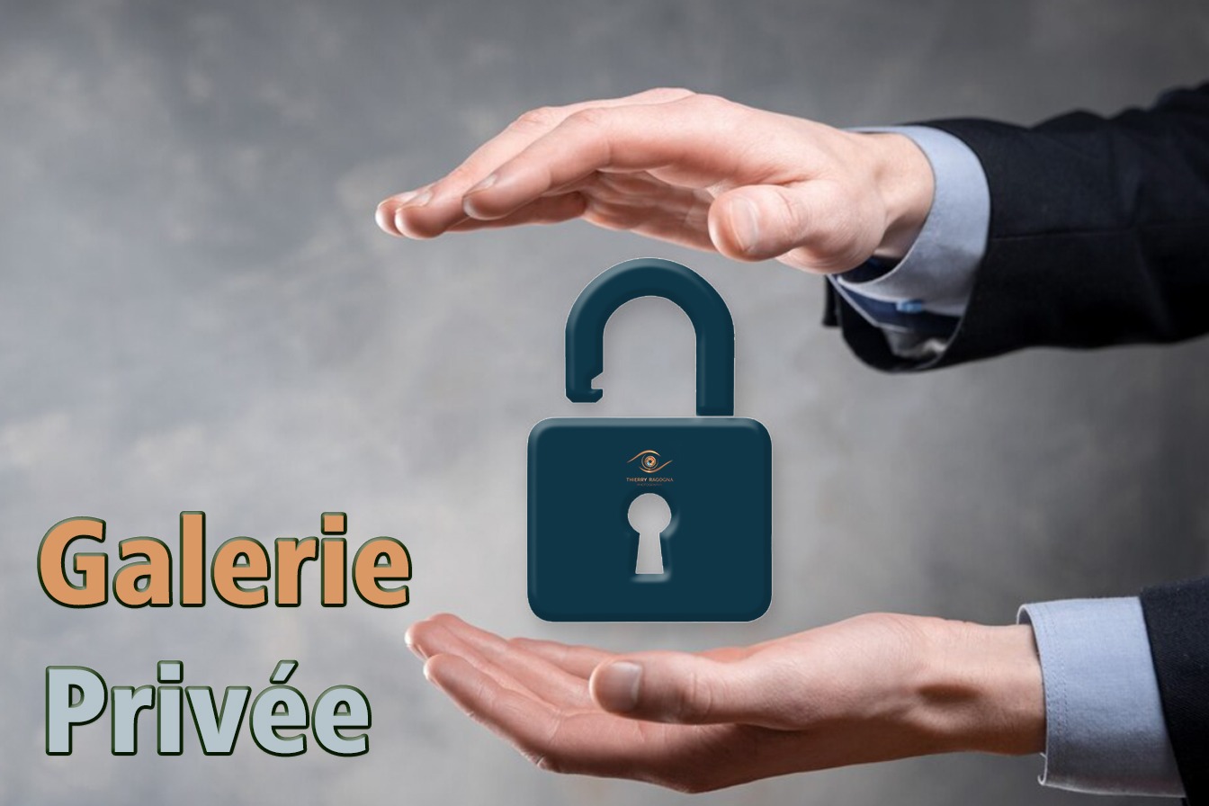 Galerie privée